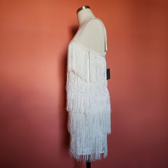 LE LIS Fine in Fringe Dress - Size: Small - Picture 5 of 12